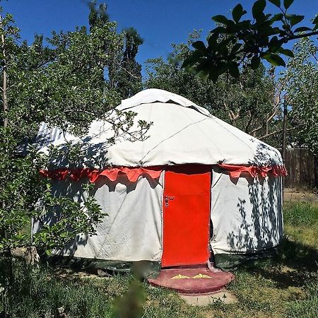 Arista Yurt Camp 호텔 카라콜 객실 사진