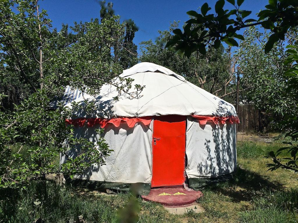 Arista Yurt Camp 호텔 카라콜 객실 사진